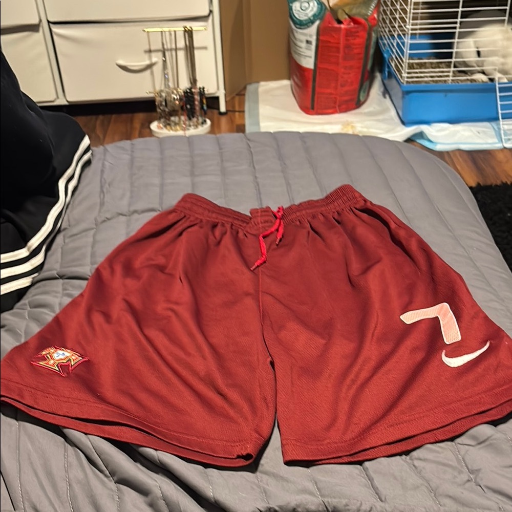 Nike Men's Red Athletic Shorts